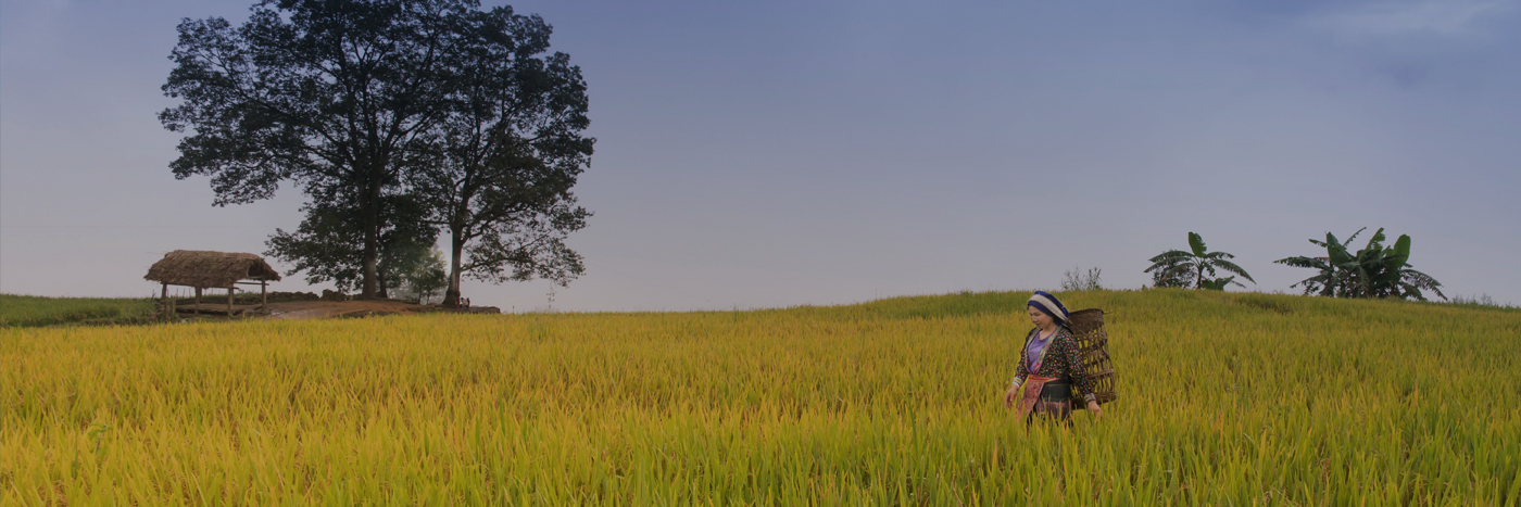 Walking in field