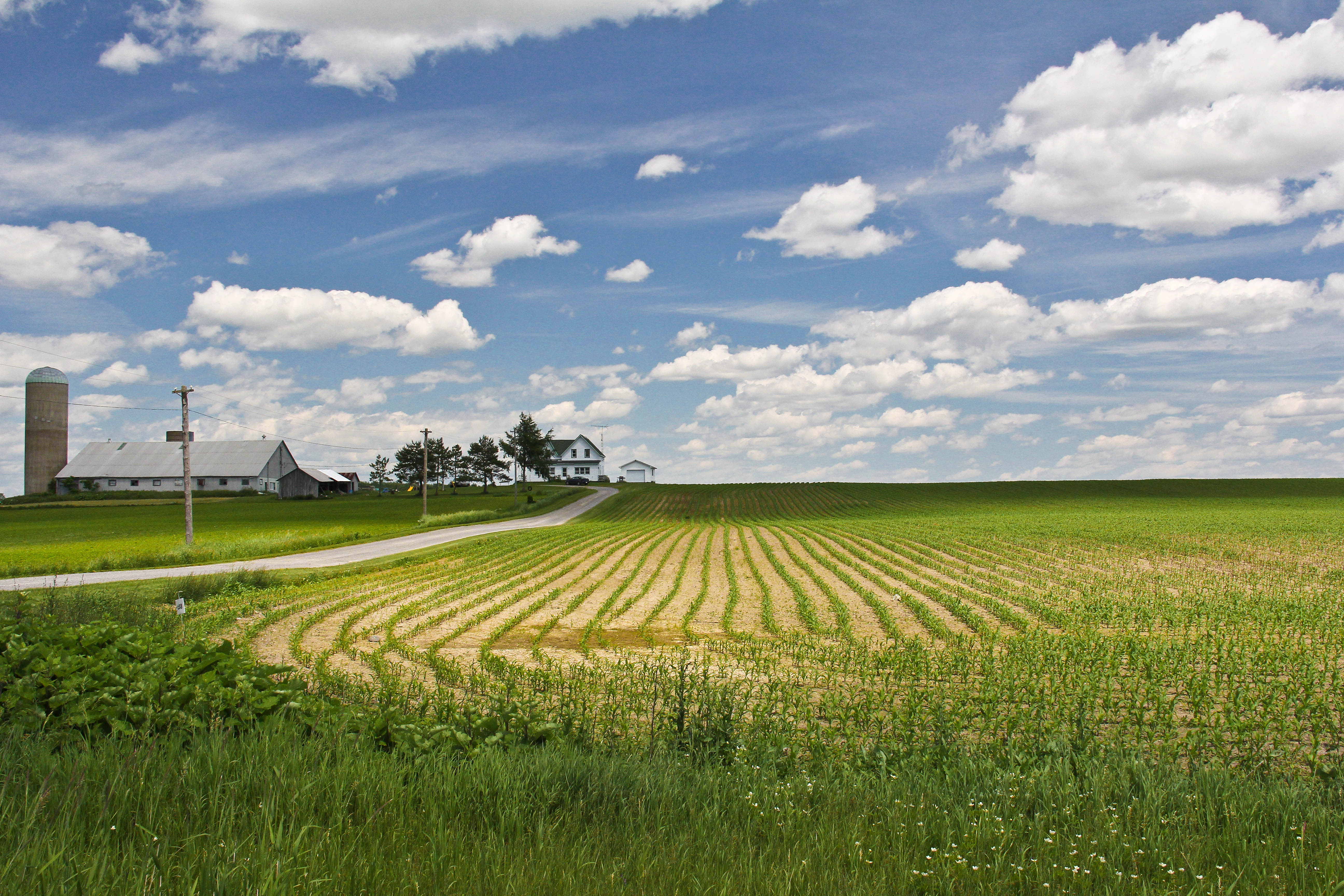 Net Impact member Wendy discusses seed variety and climate change