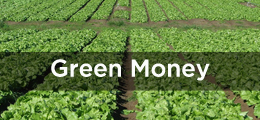 Green Money