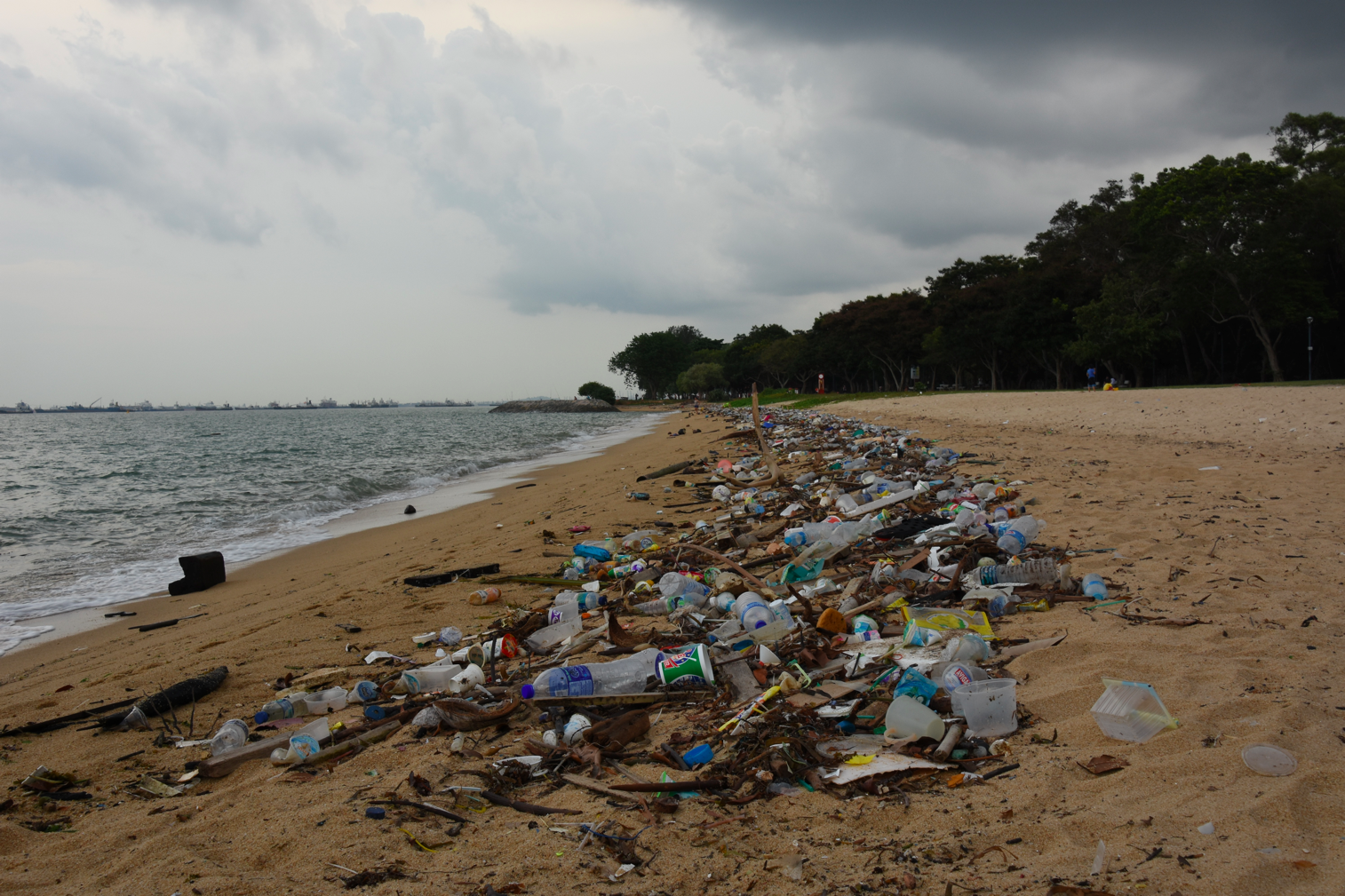 Let's change the way we consume plastics for World Oceans Day 2017